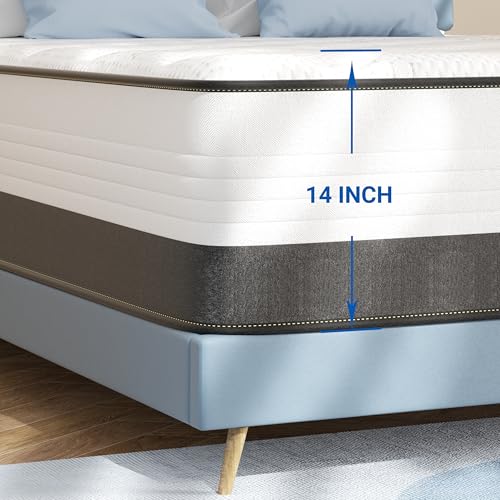 10 Inch Full Mattress Hybrid with Memory Foam and Pocketed Coils C656