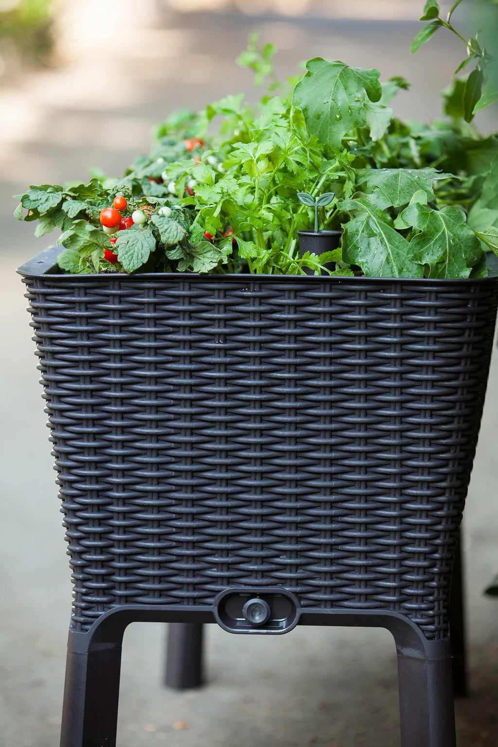 Elevated Garden Bed Q773