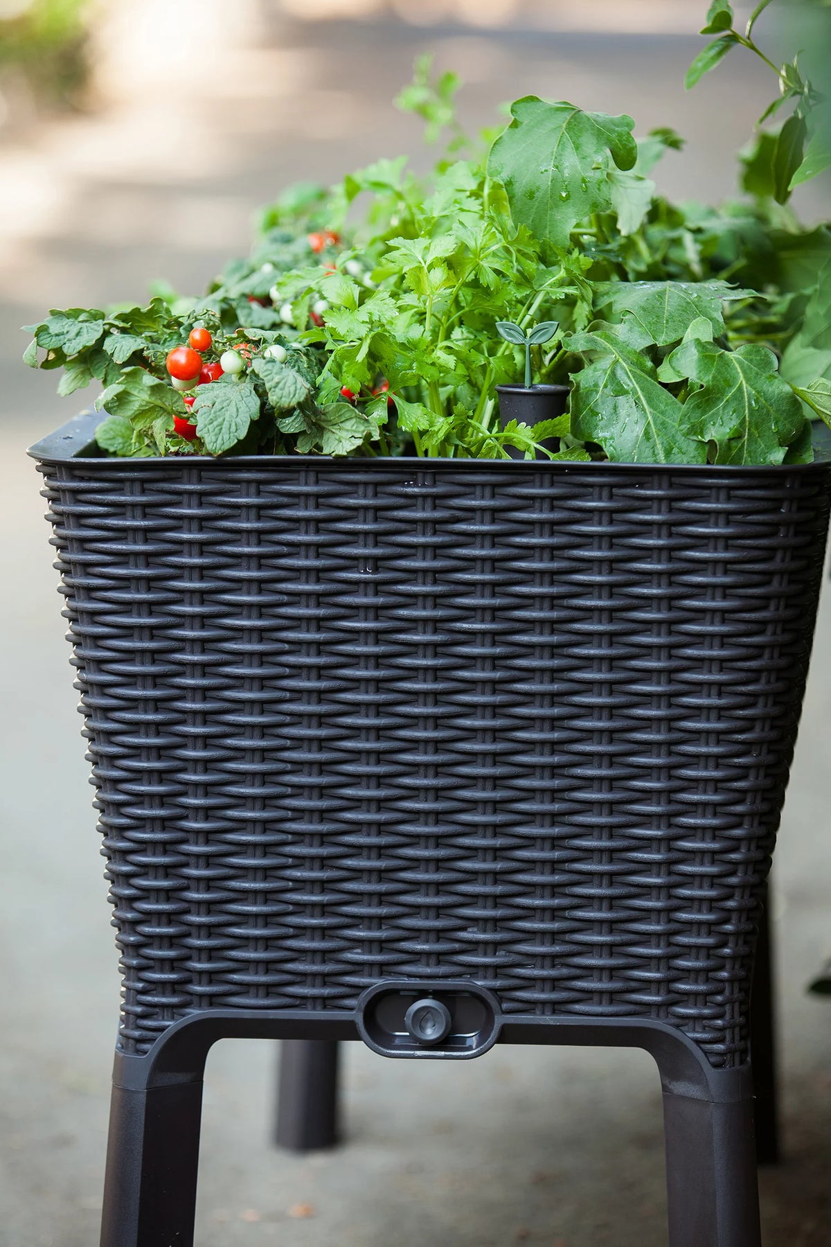 Elevated Garden Bed Q773