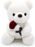 10 Inch Teddy Bear Plush Stuffed Animal with Rose O687