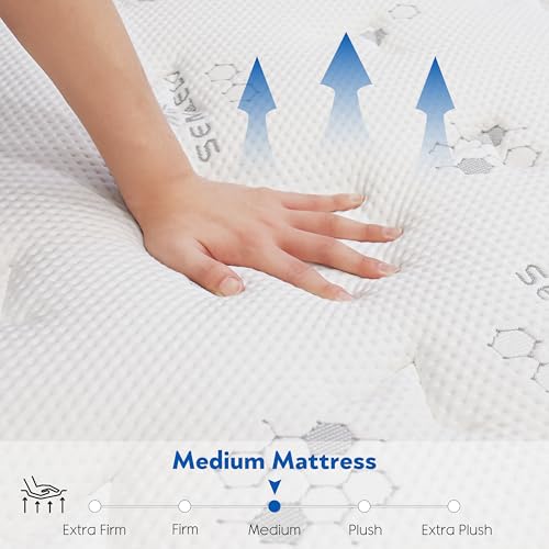 10 Inch Full Mattress Hybrid with Memory Foam and Pocketed Coils C656