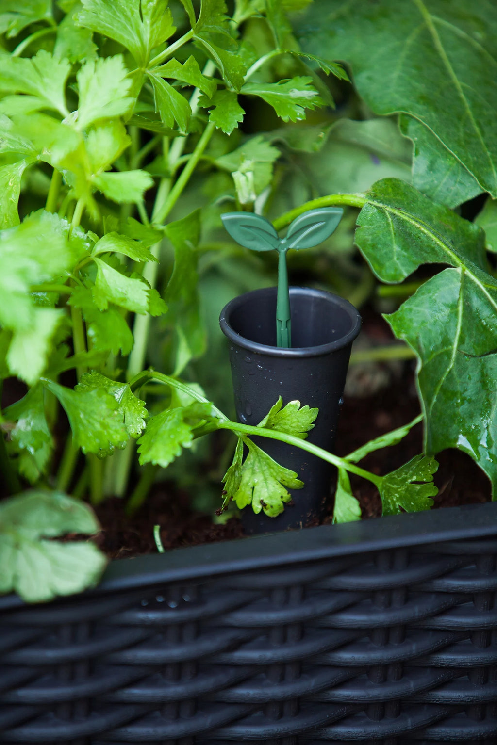 Elevated Garden Bed Q773